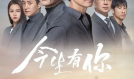 国产精品大陆在视频,影视盛宴，展现中国魅力