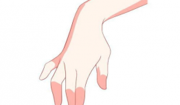 手指动漫,手指动漫魅力解析